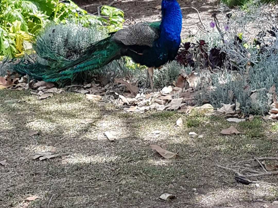 Birdland Animal Park-巴特曼斯贝必去景点