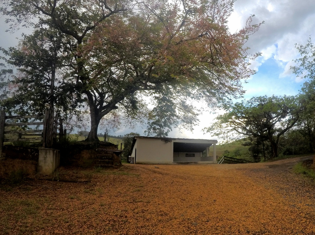 Fazenda Resgatinho-Bananal必去景点