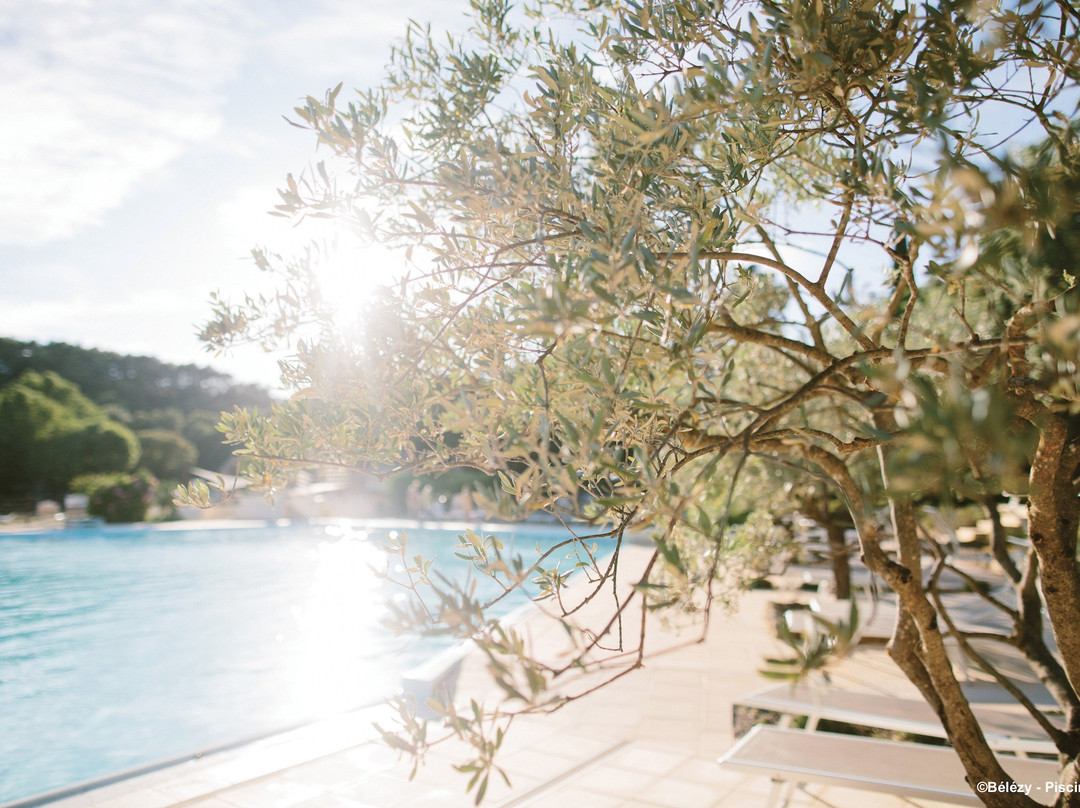 Domaine de Belezy Camping Naturiste