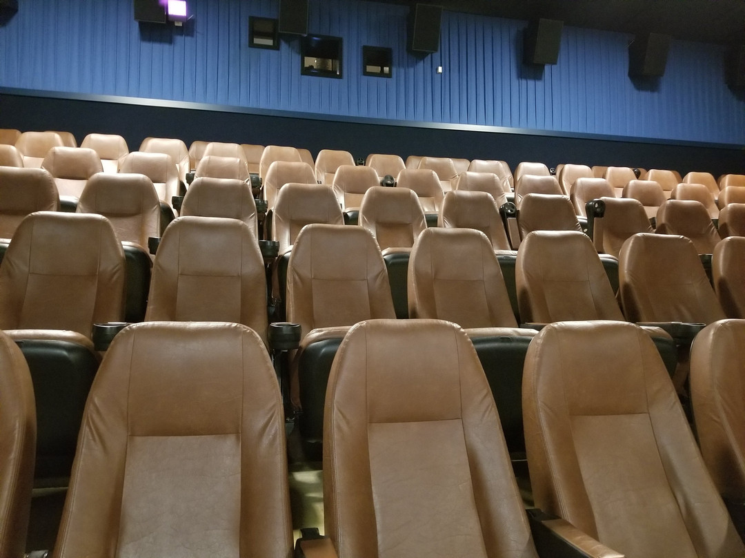 Classic Cinemas Elk Grove Theatre-埃尔克格罗夫村必去景点