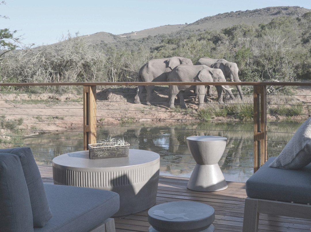 Barefoot Addo Elephant Lodge-Addo Elephant National Park必去景点
