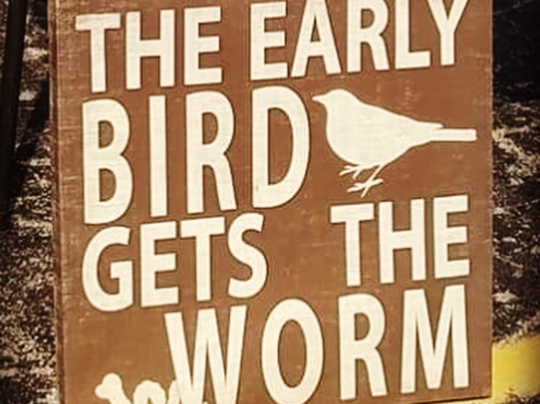 Wolff's Flea Market-罗斯蒙特必去景点