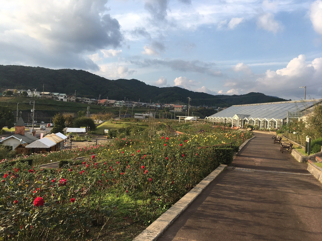 Shimada City Baranooka Park景点图片