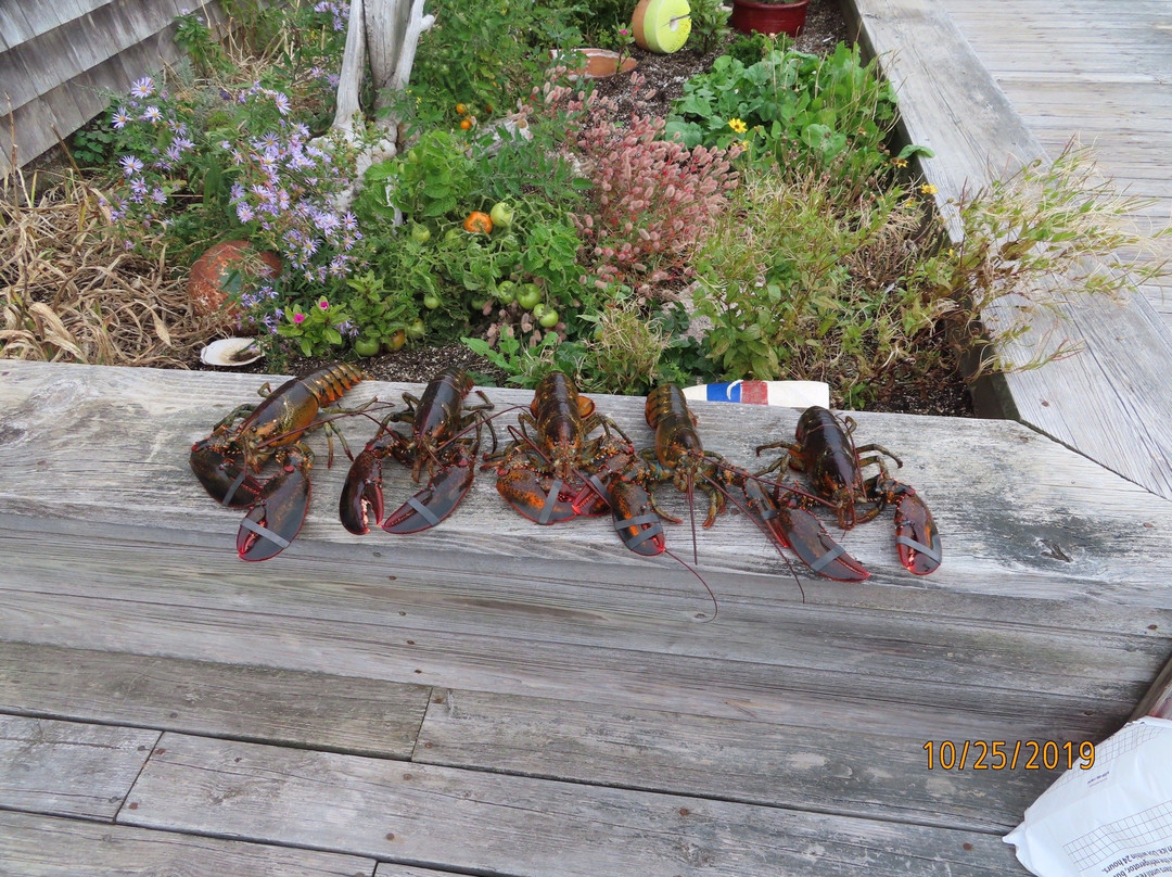 Inn on the Harbor主图