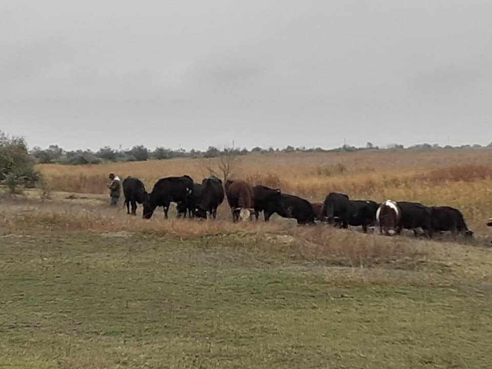Orlivka旅游攻略图片