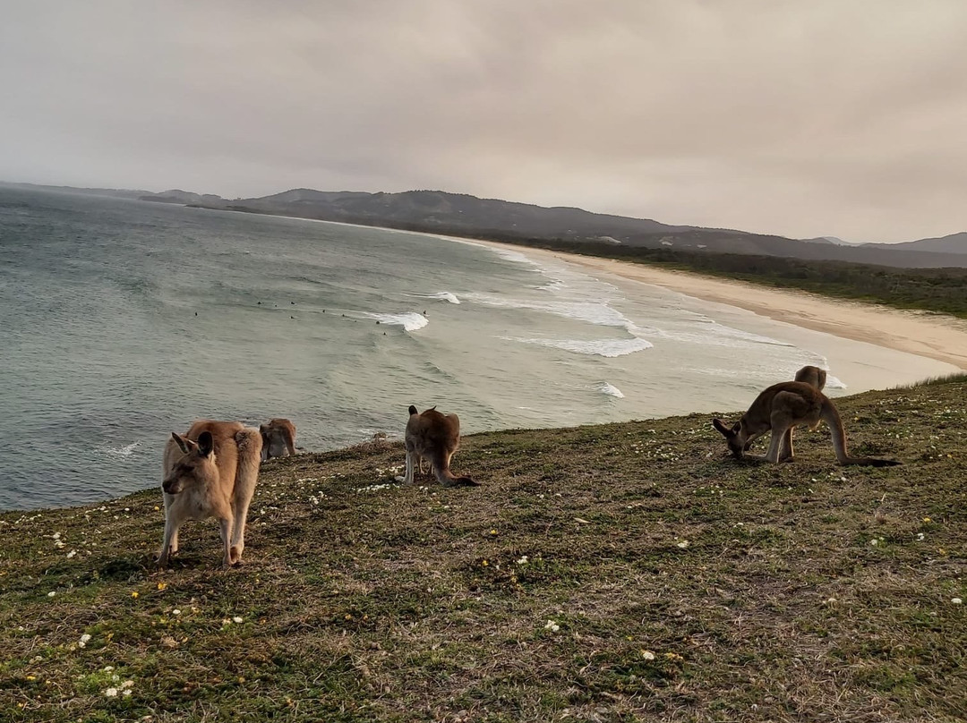 Emerald Beach-Emerald Beach必去景点