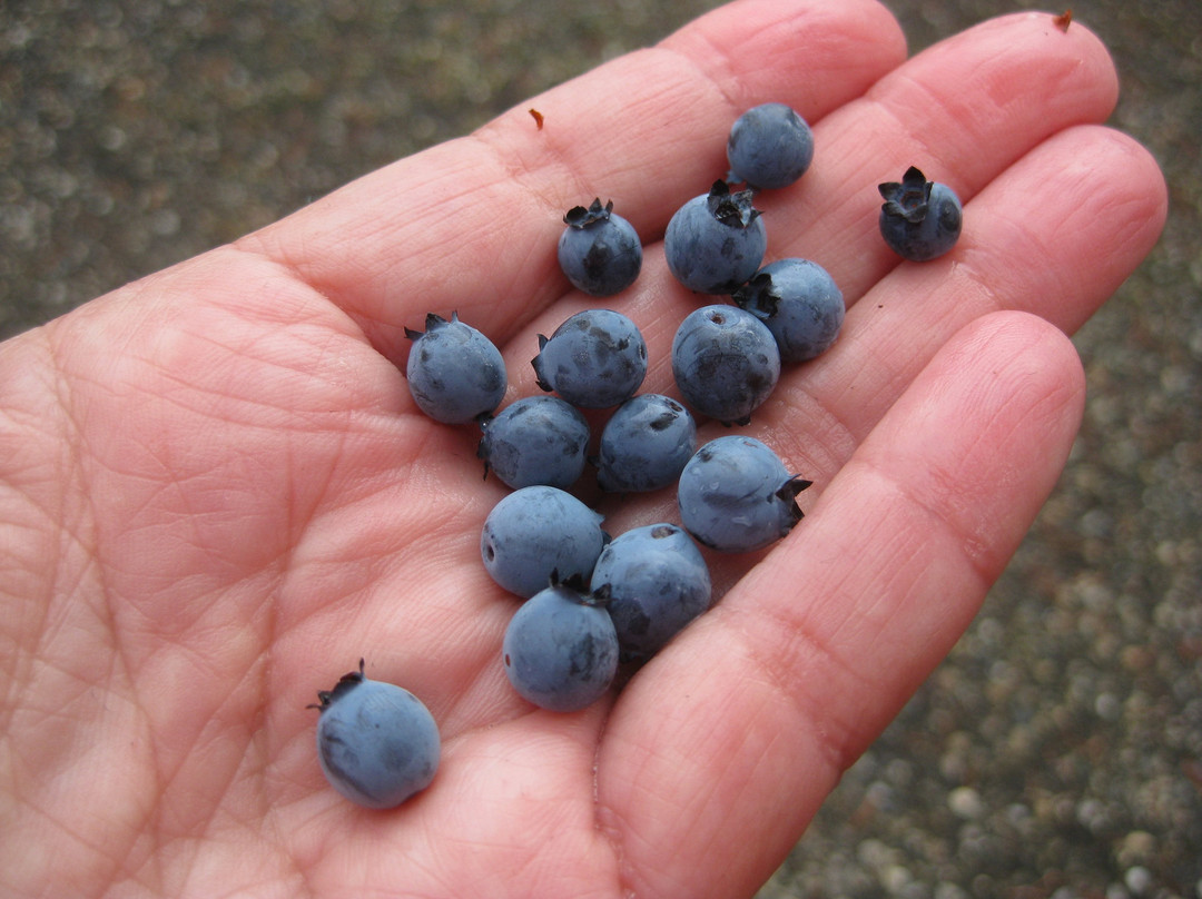 Crooked River Provincial Park-Bear Lake必去景点