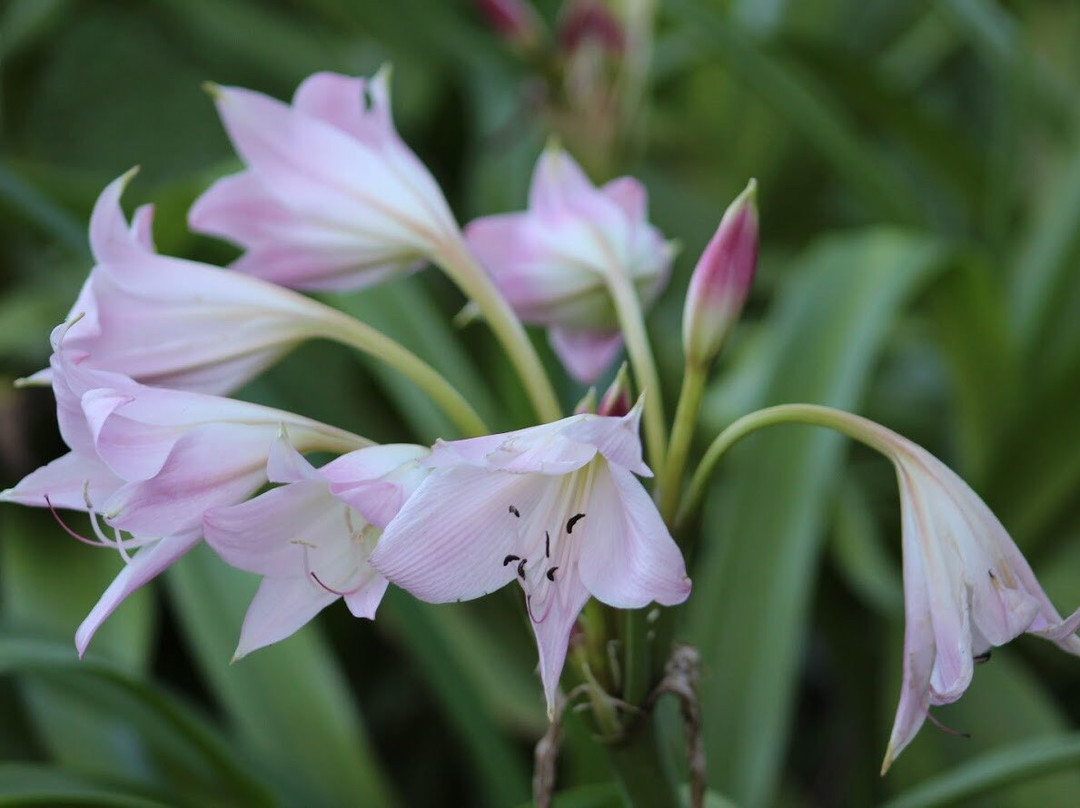 Jardim Zoológico da UCS-南卡希亚斯必去景点