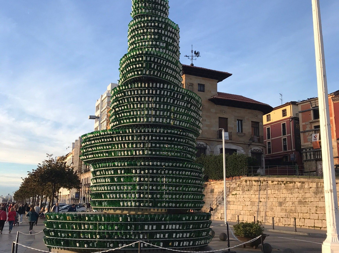 Arbol De La Sidra景点图片