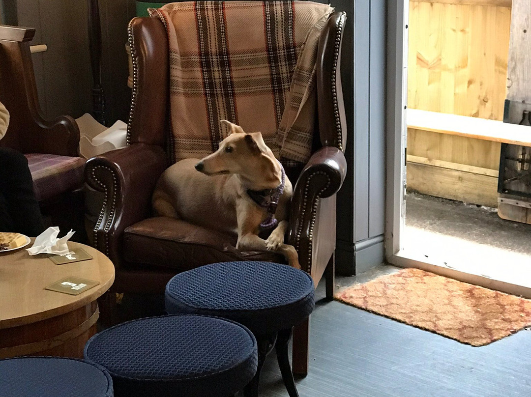 The Brooksteed-沃辛必去景点