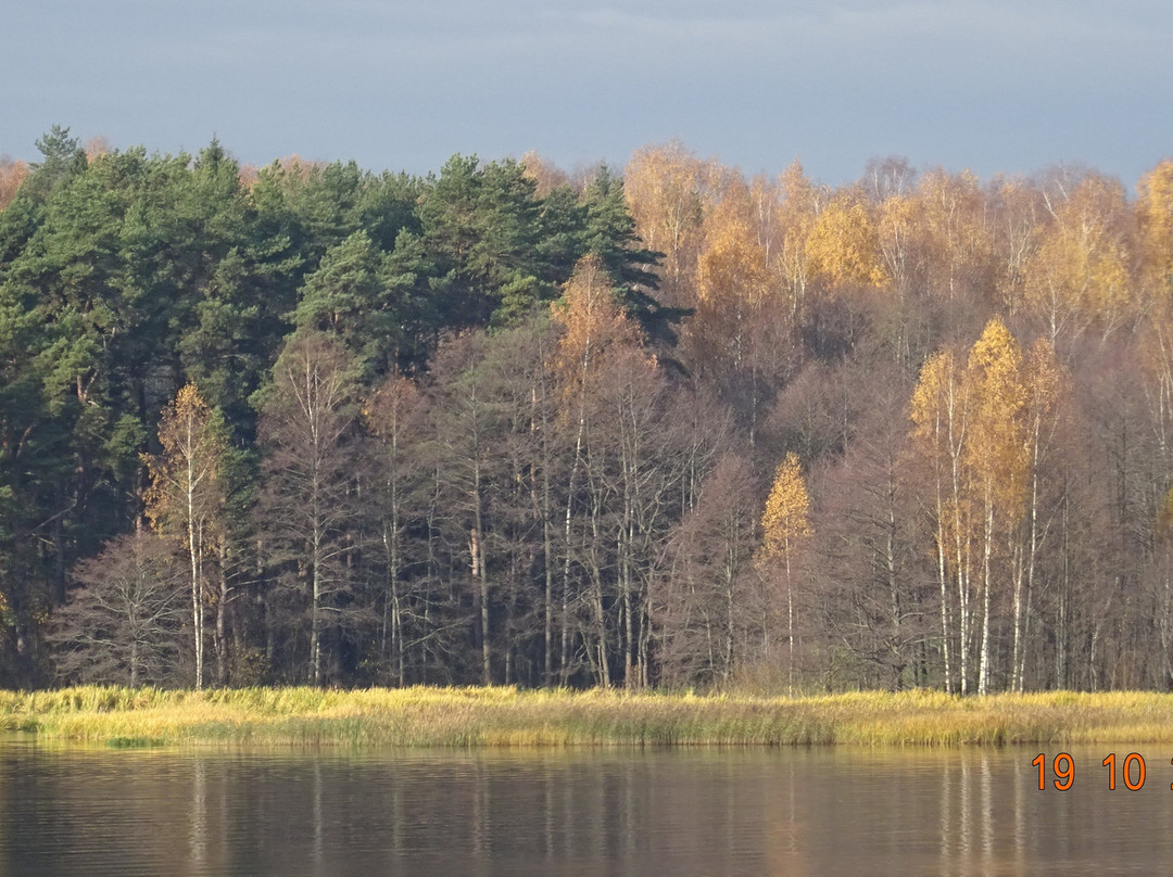 Tver Oblast旅游攻略图片