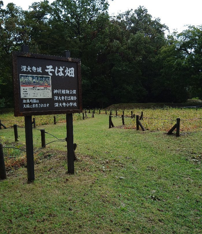 Remains of Jindaiji Castle-调布市必去景点
