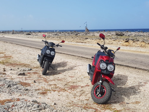 Smiley Rentals-Kralendijk必去景点