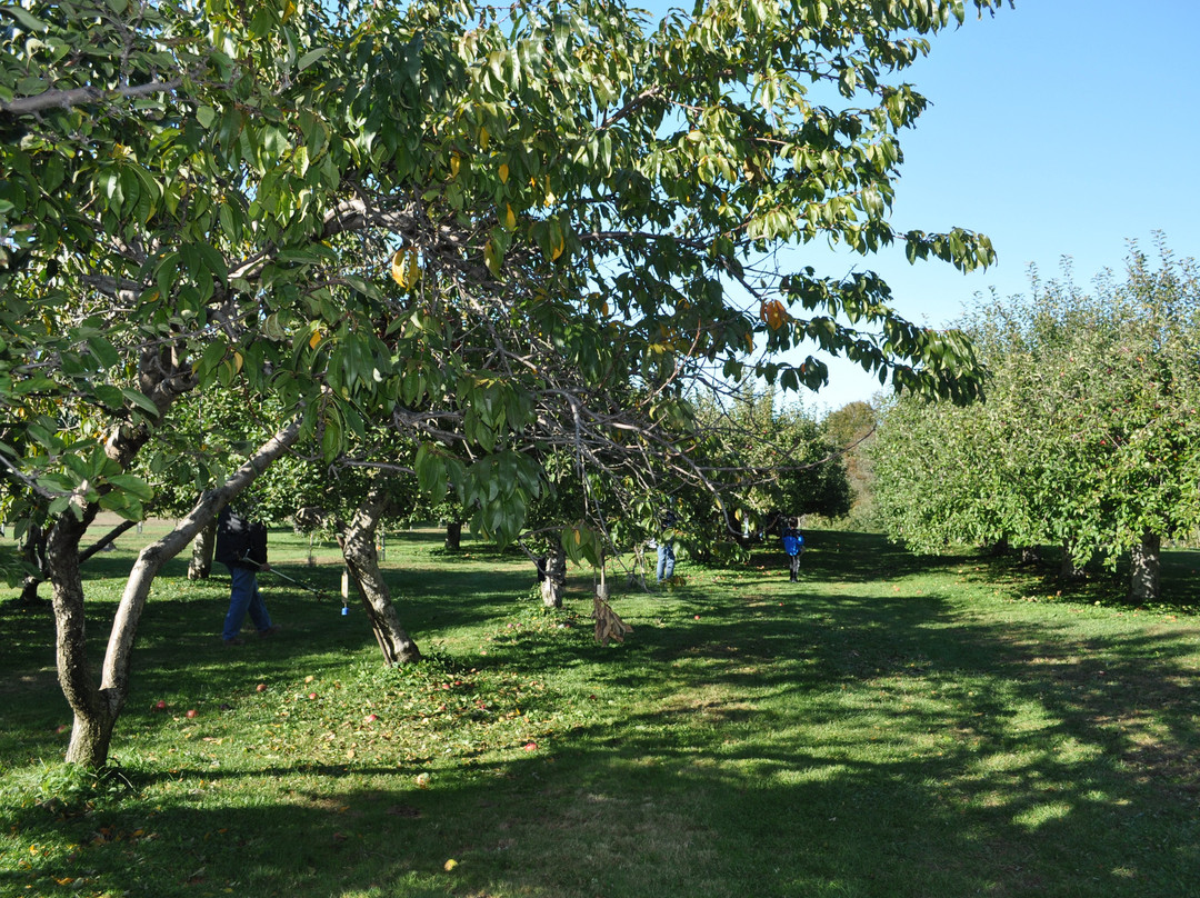 Rocky Brook Orchard-米德尔敦必去景点