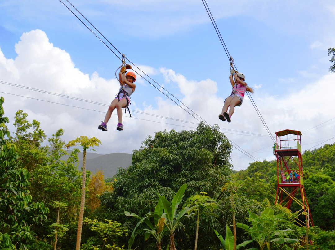 Rainforest Zipline Park景点图片