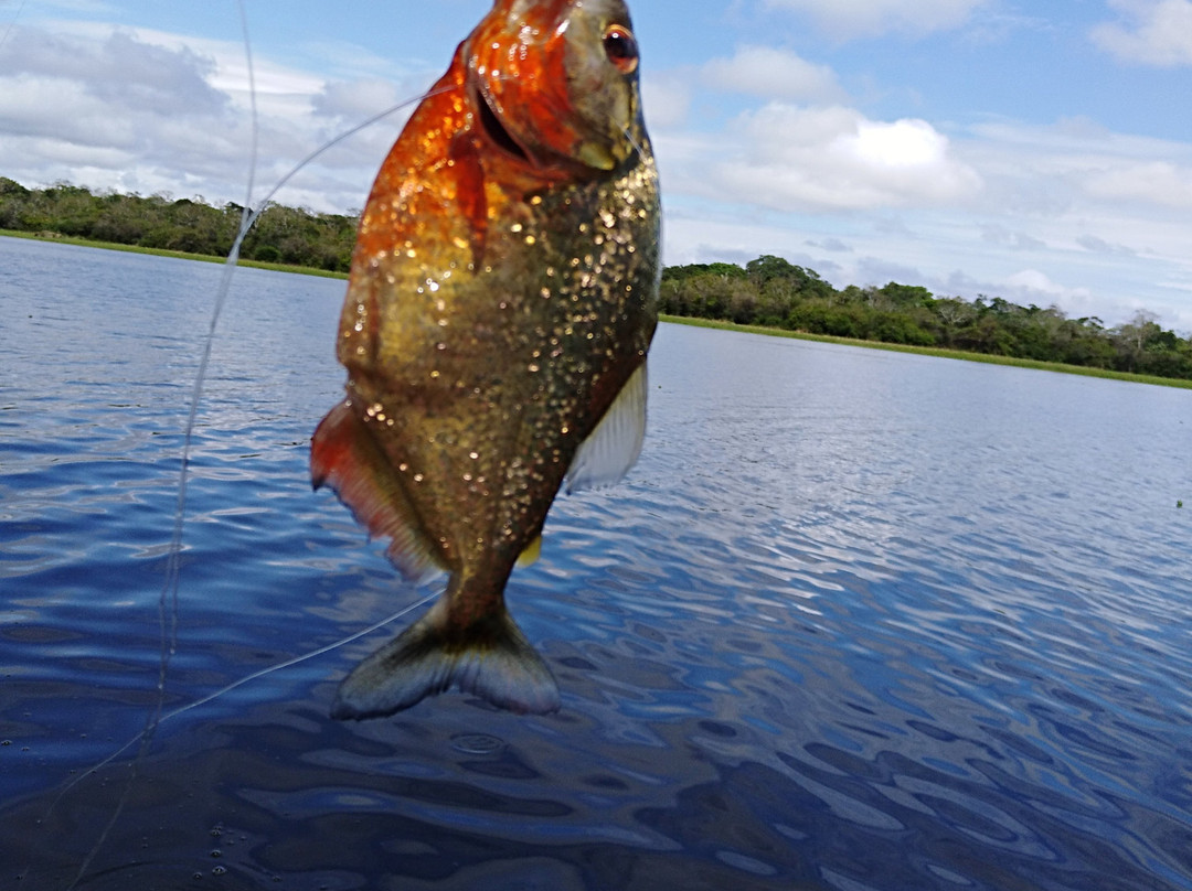 Macaw Jungle Expeditions主图