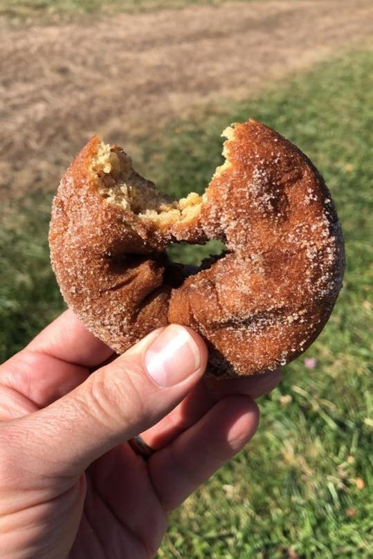 Beardsley's Cider Mill & Orchard-谢尔顿必去景点