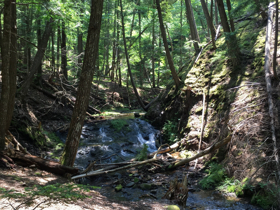 Ravine Trail景点图片