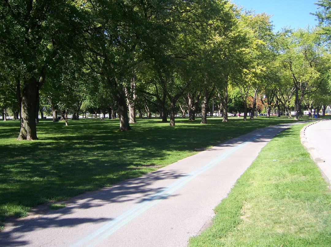 Wheel Excitement Inc-多伦多必去景点