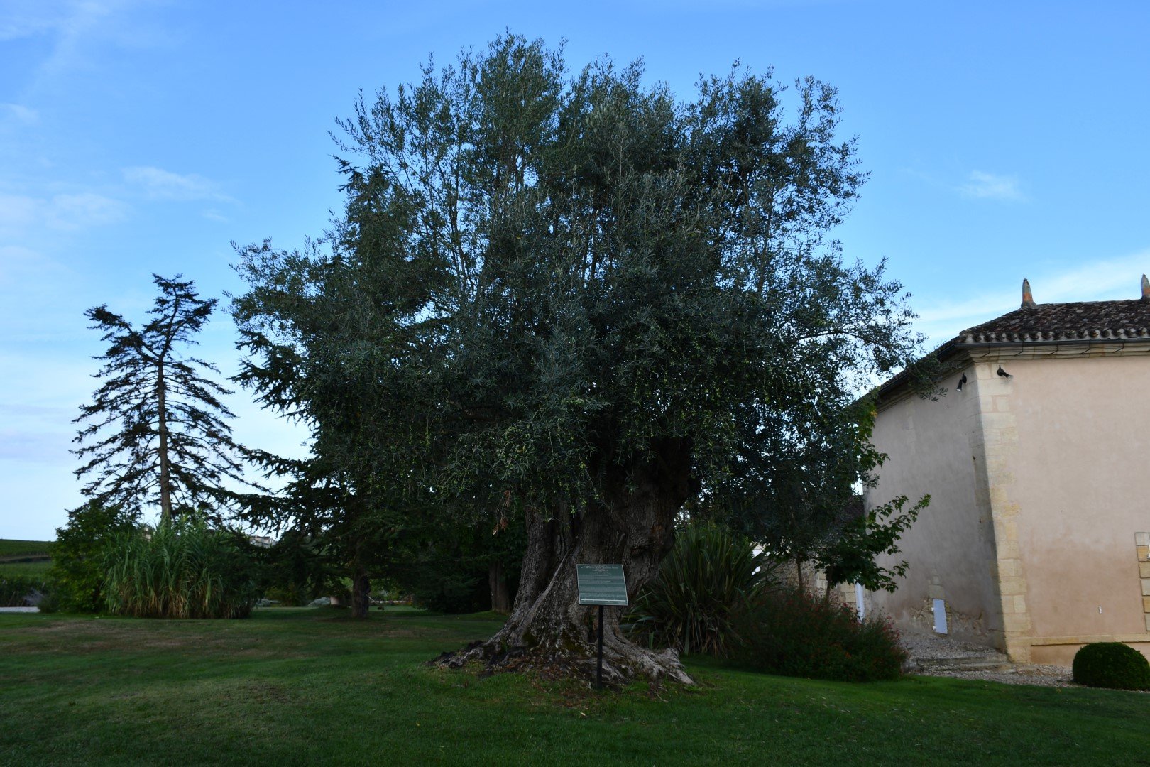 Château Fombrauge-浴室