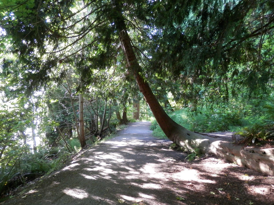 Willingdon Beach Trail-鲍威尔里弗必去景点