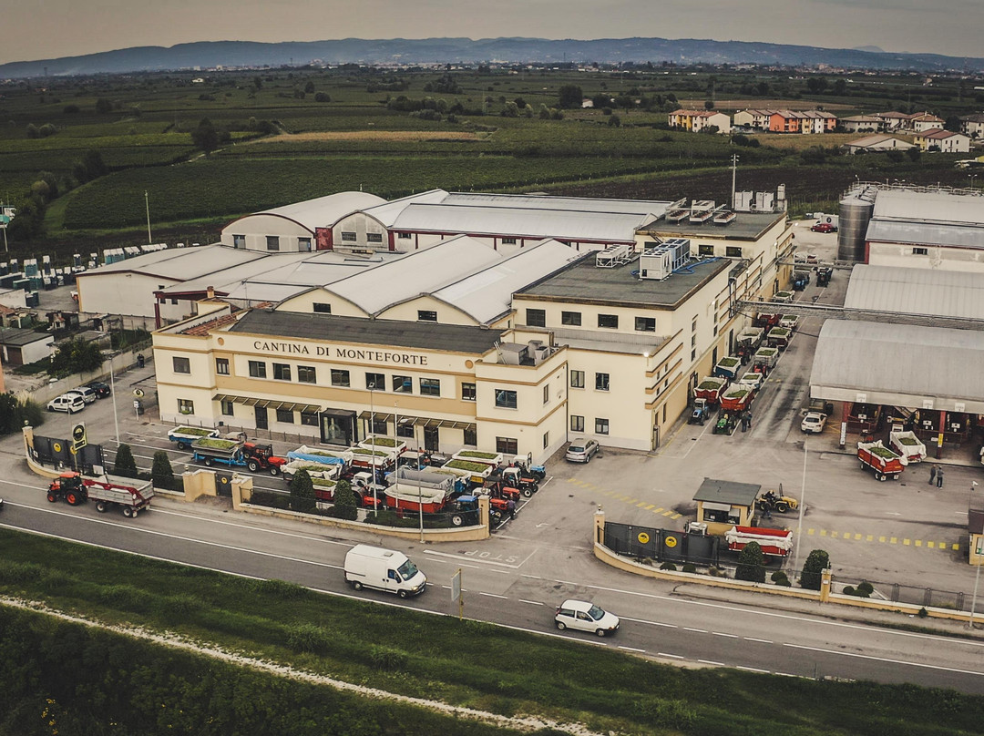 Cantina di Monteforte