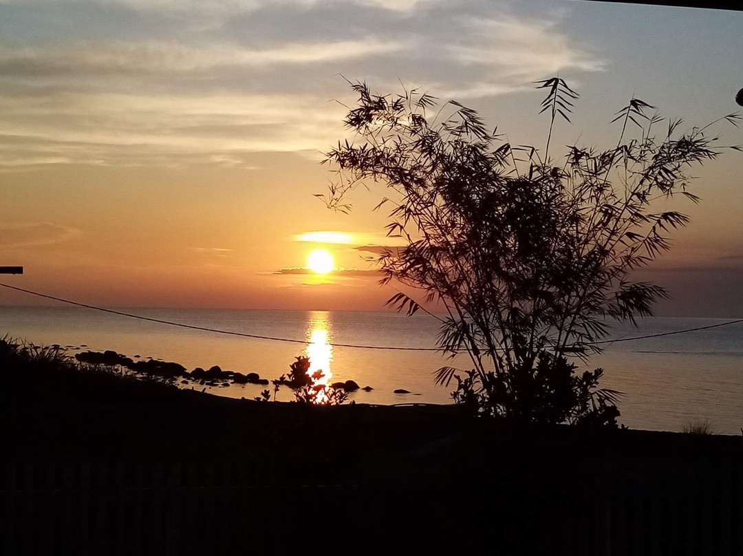 Guerrera Rice Paddy Villas主图