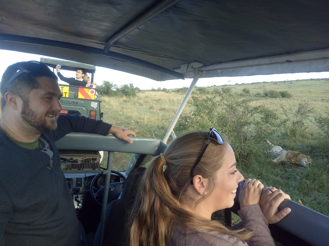 Jadi Africa Safaris-内罗毕必去景点