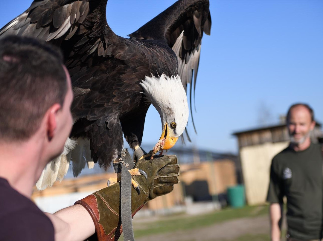 Penthea.org-布拉格必去景点