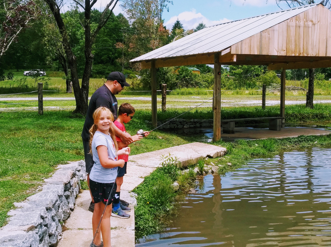 Morgan Mill and Balsam Grove Trout Fishing景点图片