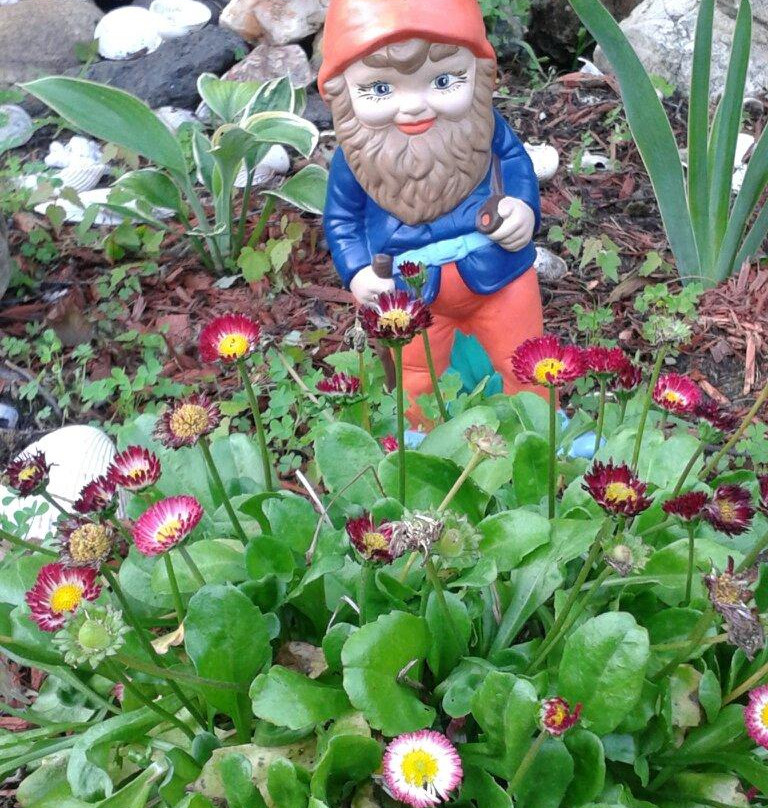 North Muskegon旅游景点-Muskegon Farmer’s Market