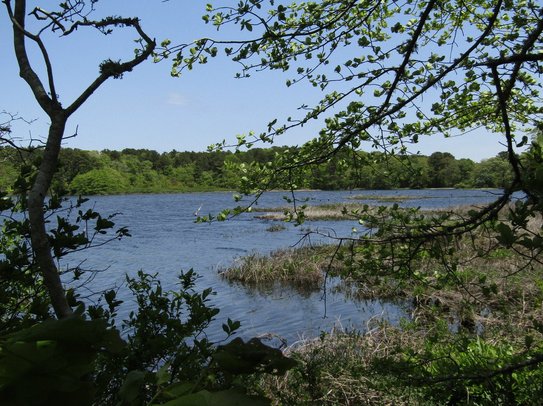 Lake Pleasant旅游攻略图片