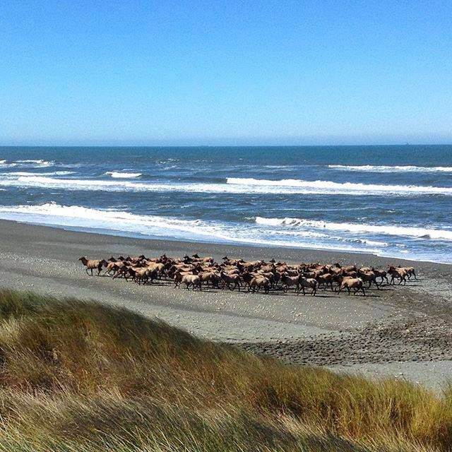 Crescent City - Del Norte County Visitor Center景点图片