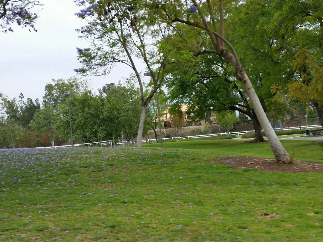 约巴林达旅游景点-Jessamyn West Park