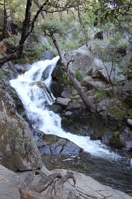 Lewis Creek Trail景点图片