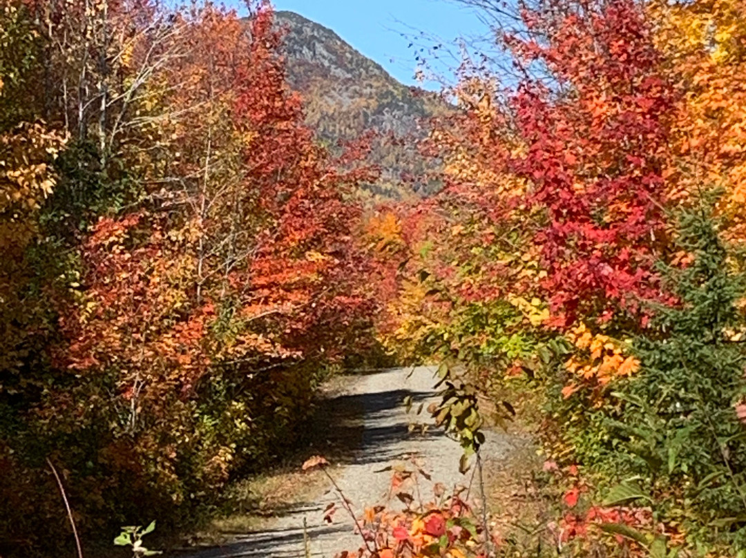 Katahdin Woods and Waters National Monument景点图片