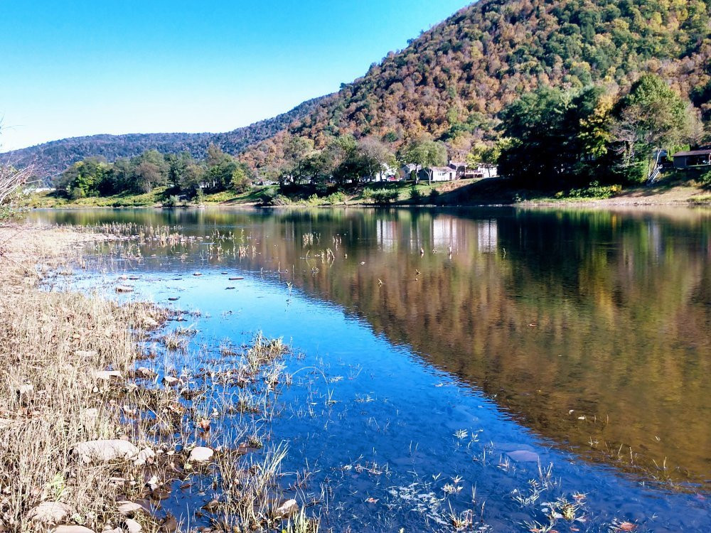 Sproul State Forest景点图片