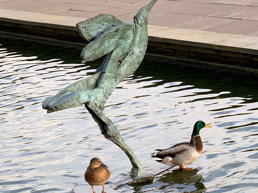 The Water Gardens Shopping Centre景点图片