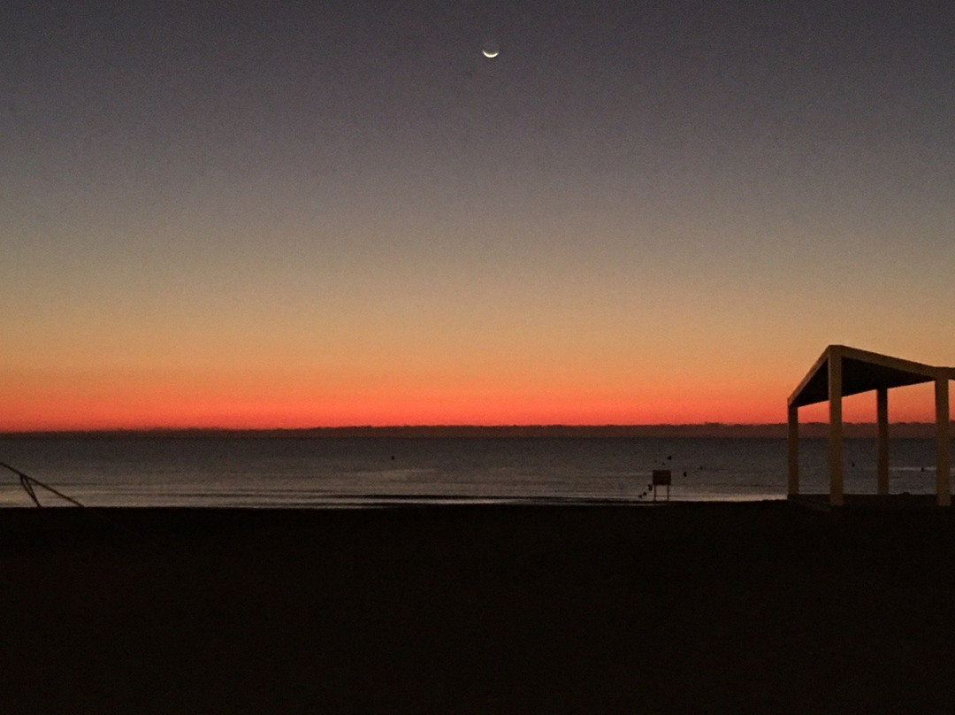 Playa De Perros Campello-El Campello必去景点