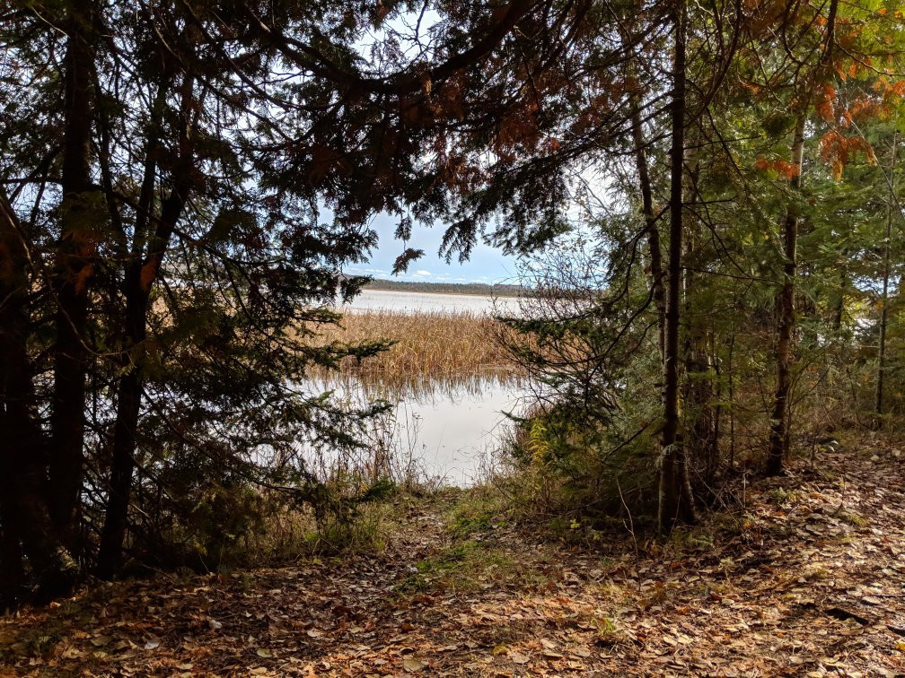 Kangaroo Lake Nature Preserve景点图片