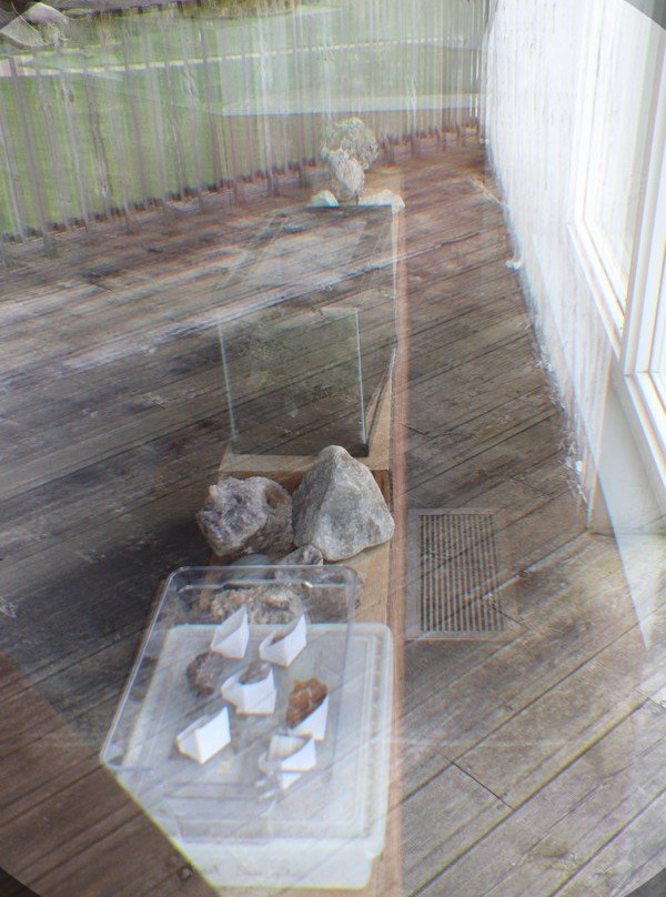Laurel Creek Conservation Area景点图片