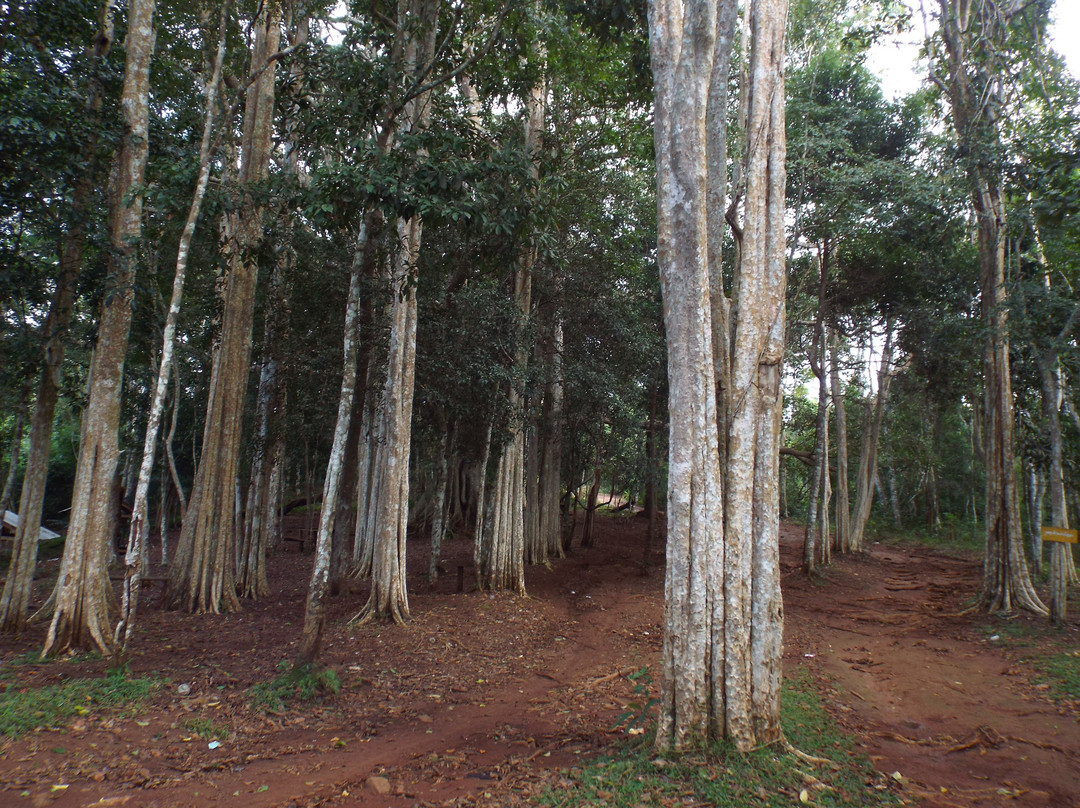 Dakdam Waterfall-森莫诺隆必去景点