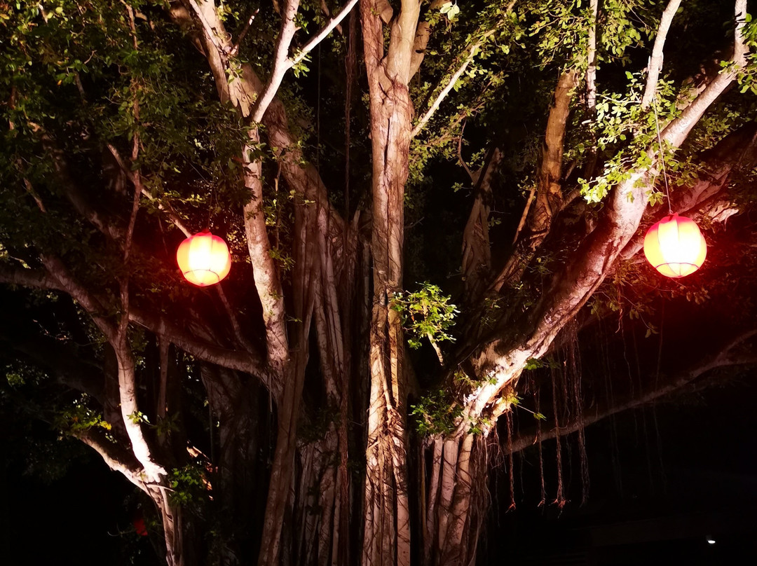 卡尼岛地中海俱乐部主图