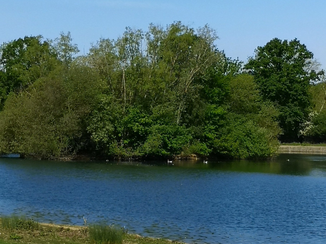 Haysden Country Park景点图片