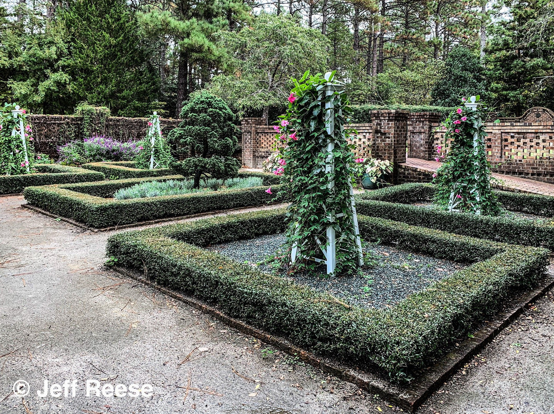 Sandhills Horticultural Gardens景点图片