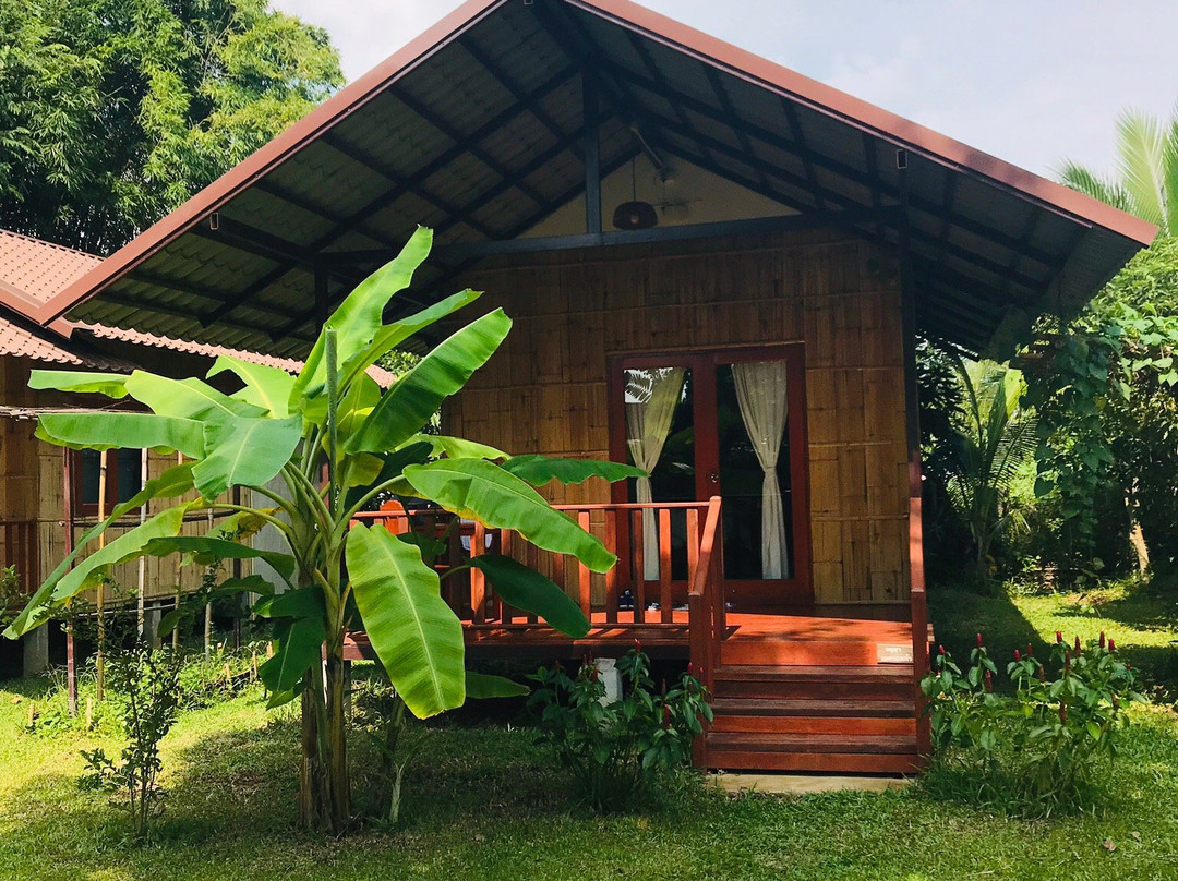 Chiang Dao Reset主图