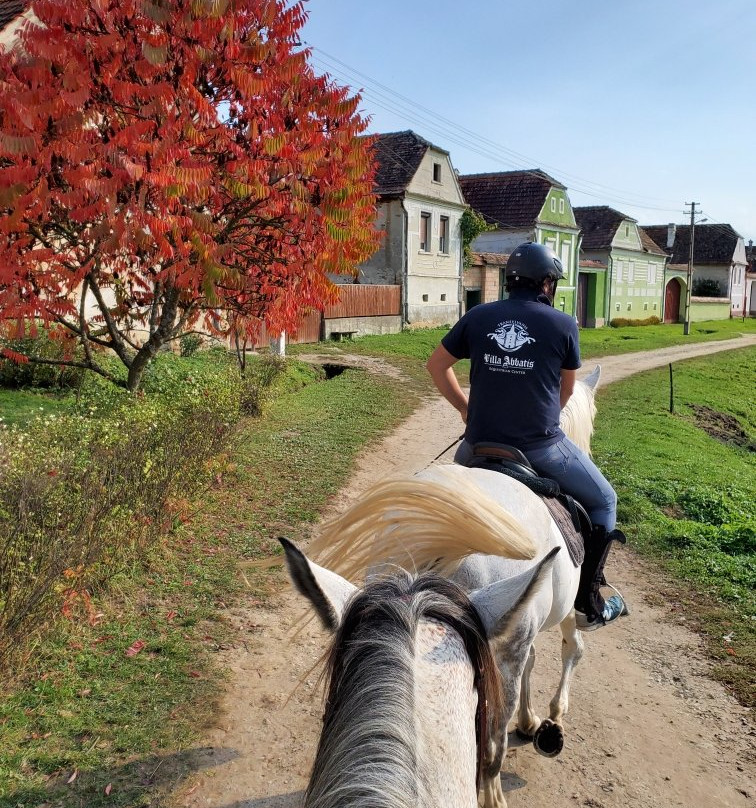 Villa Abbatis Equestrian Center景点图片