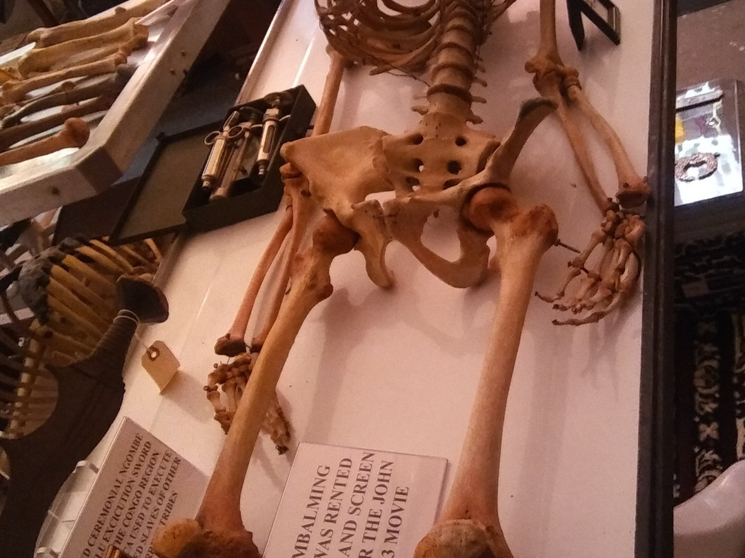 Anatomy Of Death Museum景点图片