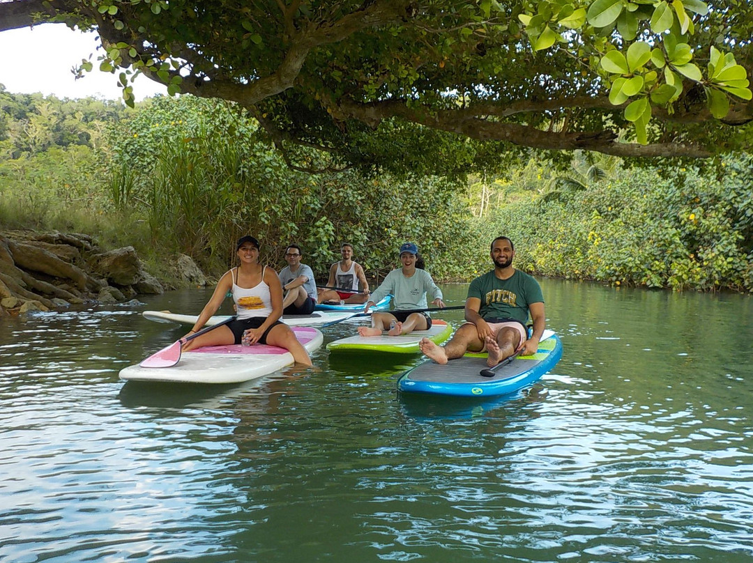 Verde Azul Surf & Stand Up Paddleboard Shop-Aguadilla必去景点