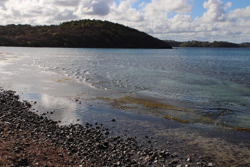 Petit Cul de Sac Beach-圣巴托洛缪岛必去景点